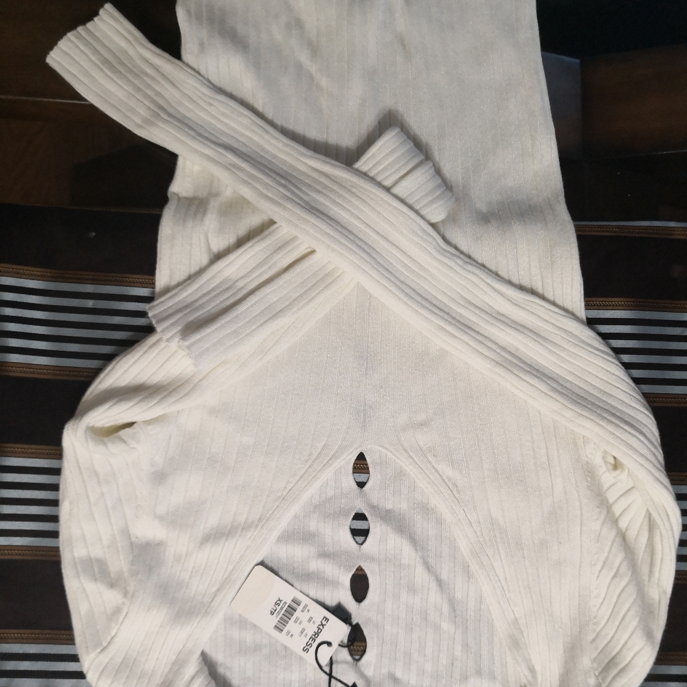 Express vneck sweather